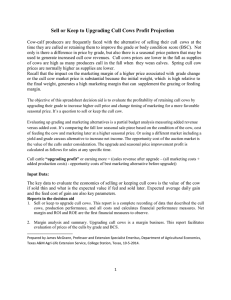 Sell or Keep to Upgrading Cull Cows Profit Projection