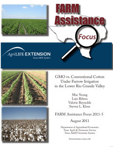 Assistance FARM Focus GMO vs. Conventional Cotton