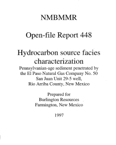 448 NMBMMR Open-file Report Hydrocarbon source facies