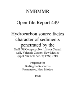 449 NMBMMR Open-file Report Hydrocarbon source