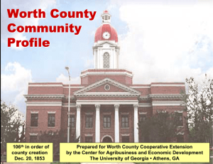 Worth County Community Profile