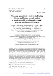 Mapping quantitative trait loci a fatness and breast muscle weight ecting
