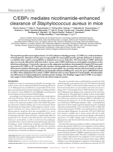 C/EBPε mediates nicotinamide-enhanced Staphylococcus aureus Research article