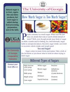How Much Sugar is Too Much Sugar?