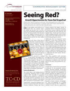 Seeing Red? Growth Opportunities for Texas Red Grapefruit