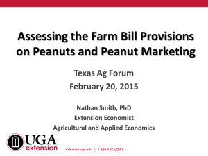 Assessing the Farm Bill Provisions on Peanuts and Peanut Marketing