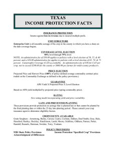 TEXAS INCOME PROTECTION FACTS