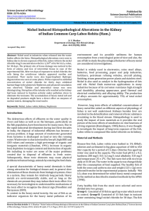 Nickel Induced Histopathological Alterations in the Kidney Science Journal of Microbiology