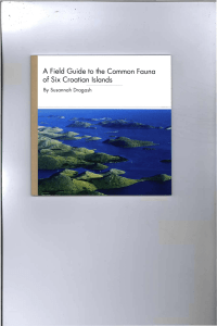 A  Field  Guide to  the  Common ... of  Six  Croatian  Islands By Susannah  Dragash