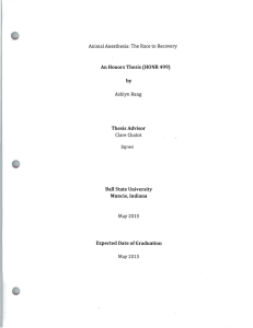 An Honors Thesis (HONR 499) by Thesis Advisor Ball State University
