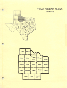 TEXAS ROLLING PLAINS DISTRICT 3