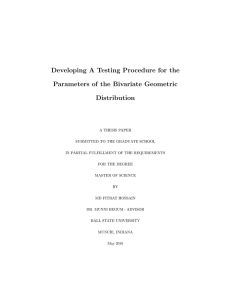 Developing A Testing Procedure for the Parameters of the Bivariate Geometric Distribution