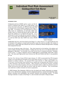 Individual Pest Risk Assessment  Goldspotted Oak Borer