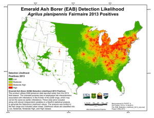 Emerald Ash Borer (EAB) Detection Likelihood Agrilus planipennis Fairmaire 2013 Positives