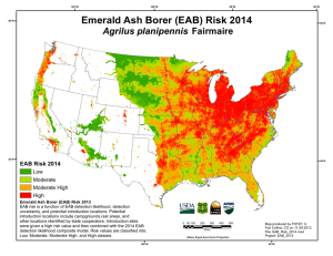Emerald Ash Borer (EAB) Risk 2014 Agrilus planipennis Fairmaire