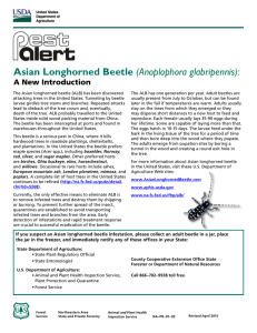 Asian Longhorned Beetle (Anoplophora glabripennis): A New Introduction