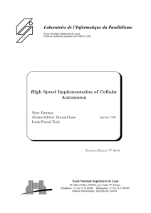 High Speed Implementation of Cellular Automaton Marc Daumas Jer^ome-Olivier Durand-Lose