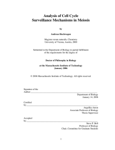 Analysis of Cell Cycle Surveillance Mechanisms in Meiosis