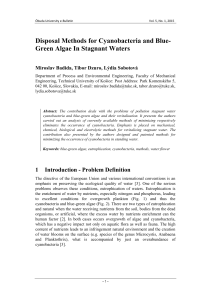 Disposal Methods for Cyanobacteria and Blue- Green Algae In Stagnant Waters