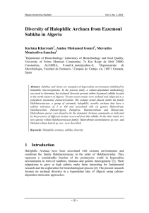 Diversity of Halophilic Archaea from Ezzemoul Sabkha in Algeria Karima Kharroub