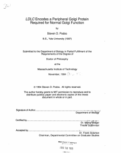 LDLC Required for Normal Golgi  Function Steven  D.  Podos