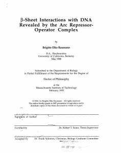 f-Sheet  Interactions with  DNA Operator  Complex Brigitte Elke Raumann