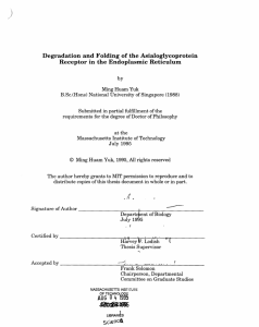 Degradation  and Folding of the Asialoglycoprotein by