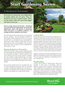 Start Gardening Series 9 Herbacious Perennials