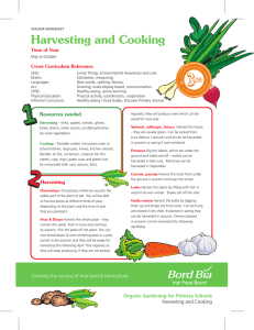 Harvesting and Cooking
