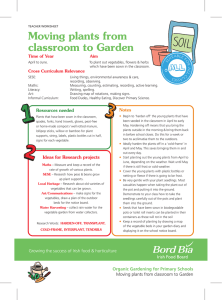 Moving plants from classroom to Garden