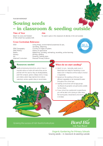 Sowing seeds – in classroom &amp; seeding outside