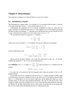 Chapter 6. Determinants 6.1 Introductory remarks