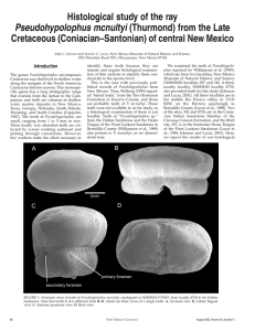 Histological study of the ray Cretaceous (Coniacian–Santonian) of central New Mexico Introduction