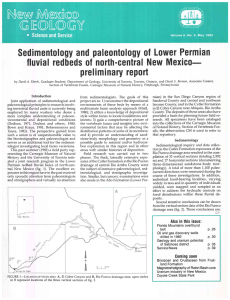 paleontology Permian of Lower Sedimentology
