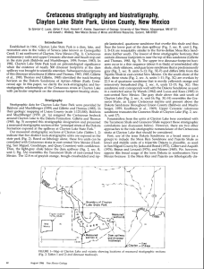 Gretaceous stratigraphy and biostratigraphy,