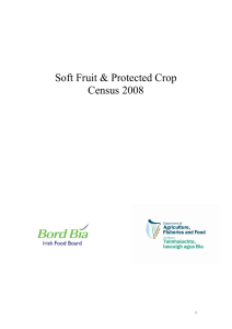 Soft Fruit &amp; Protected Crop Census 2008  1