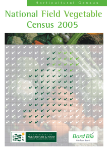 National Census 2005 Field Vegetable