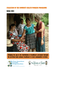 EVALUATION OF THE COMMUNITY HEALTH WORKERS PROGRAMME Belize 2013