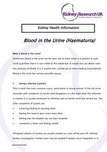 Blood in the Urine (Haematuria) Kidney Health Information