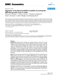 BMC Genomics Expansion of the Bactericidal/Permeability Increasing-like (BPI-like) protein locus in cattle