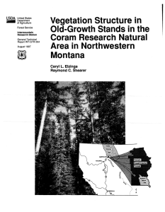 Vegetation  Structure in Old-Growth Stands in the Area in  Northwestern