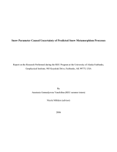 Snow Parameter Caused Uncertainty of Predicted Snow Metamorphism Processes