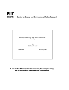 The Geographic Expanse of the Market for Wholesale Electricity by Elizabeth M. Bailey