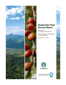 Guatemala Field Survey Report