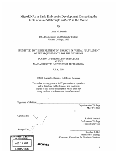 MicroRNAs in Early Embryonic Development: Dissecting the Role of miR-290
