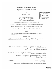 Cansu  Tunca Synaptic  Plasticity  in  the