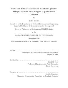 Flow and Solute Transport in Random Cylinder Canopies Yukie Tanino