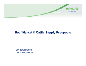 Beef Market &amp; Cattle Supply Prospects 21 January 2009 Joe Burke, Bord Bia