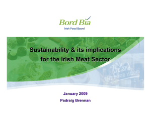 Sustainability &amp; its implications for the Irish Meat Sector January 2009 Padraig Brennan