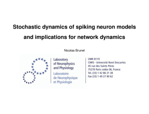 Stochastic dynamics of spiking neuron models and implications for network dynamics